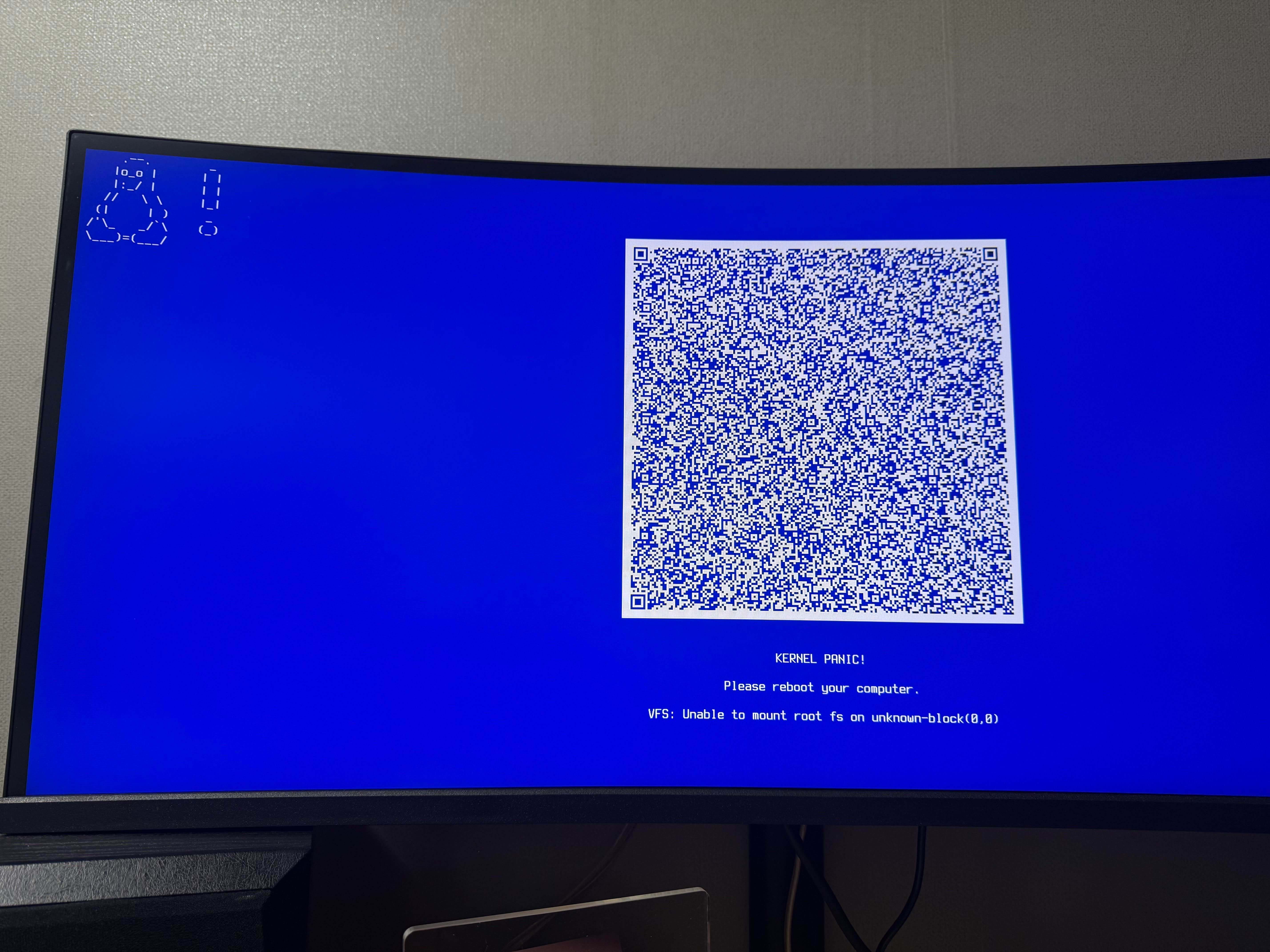Linux kernal panic이 발생한 화면