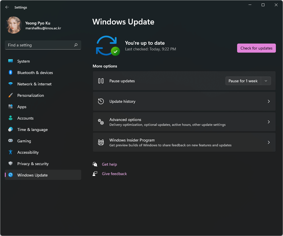Windows 11 업데이트