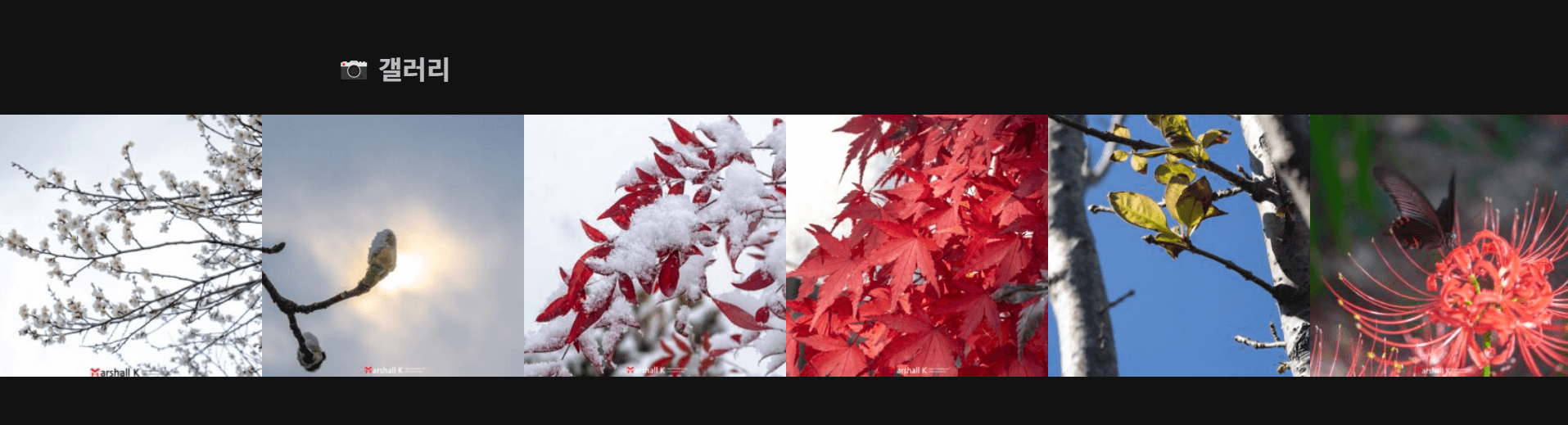홈 화면 갤러리