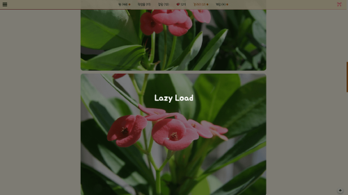 Lazy Load 업데이트