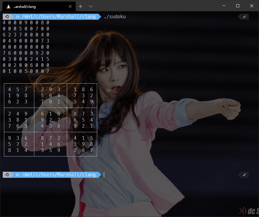 C++ 스도쿠 실행 결과