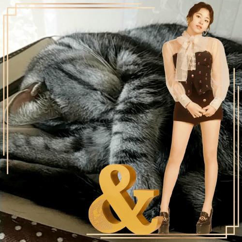 웹 카메라